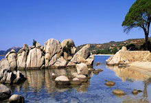 因伤退赛,德约科维奇无缘澳网百胜中新体坛.